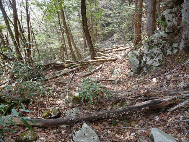 ����X�ѓS�����͐�,�ѓS,�p����,�y�؋O��,�ы�,���[��