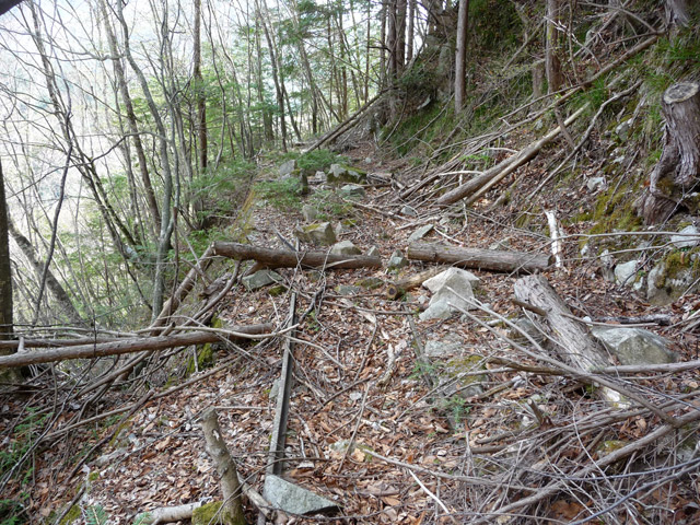 ����X�ѓS�����͐�,�ѓS,�p����,���͗ѓ�,�ы�,���H