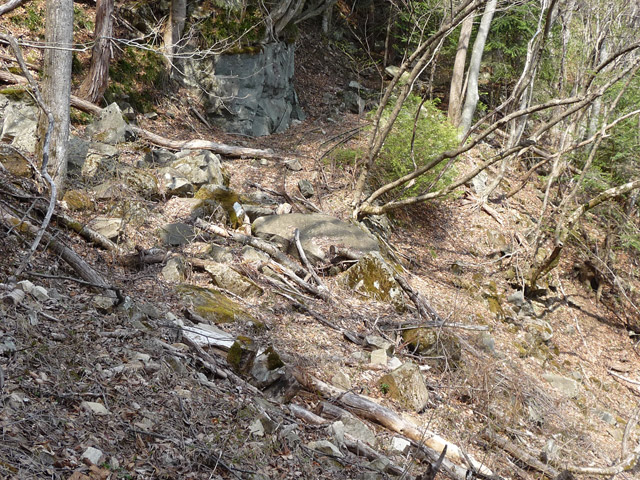 ����X�ѓS�����͐�,�ѓS,�p����,���͗ѓ�,�ы�,����