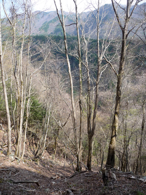 ����X�ѓS�����͐�,�ѓS,�p����,��ԎR,�n���n,��ˏ���