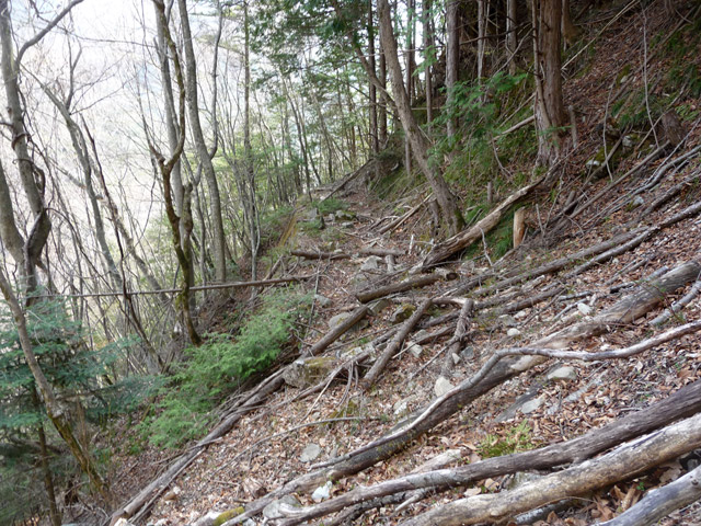 ����X�ѓS�����͐�,�ѓS,�p����,�H��,�؍މ^���O����,��ˏ���