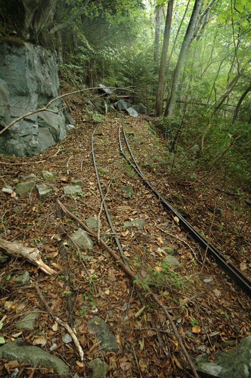 ���͐X�ѓS��,�ѓS,�p����,�؍މ^���O����,�O��,���[��