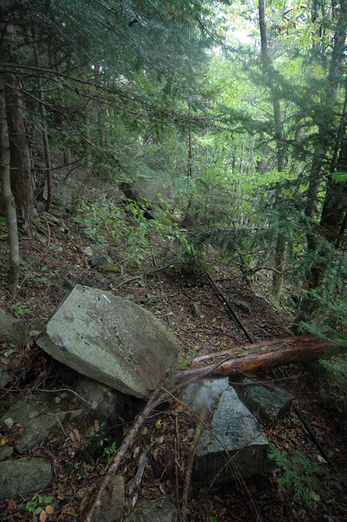 ���͐X�ѓS��,�ѓS,�p����,�O����,����,�O��