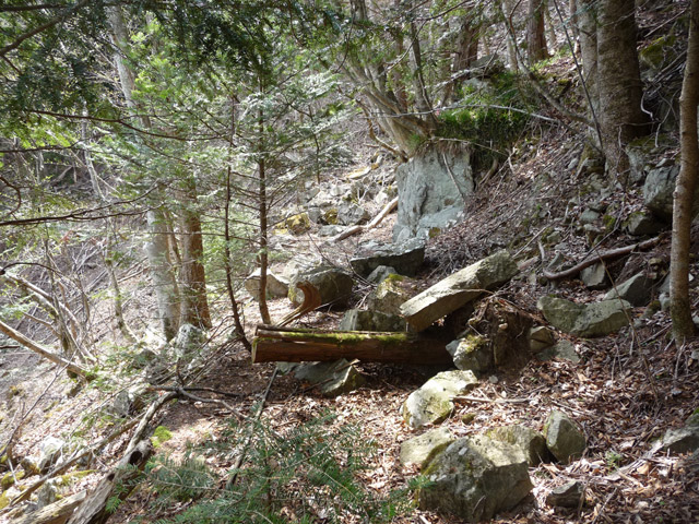 ���͐X�ѓS��,�ѓS,�p����,�i���[�O����,����c�я�,���