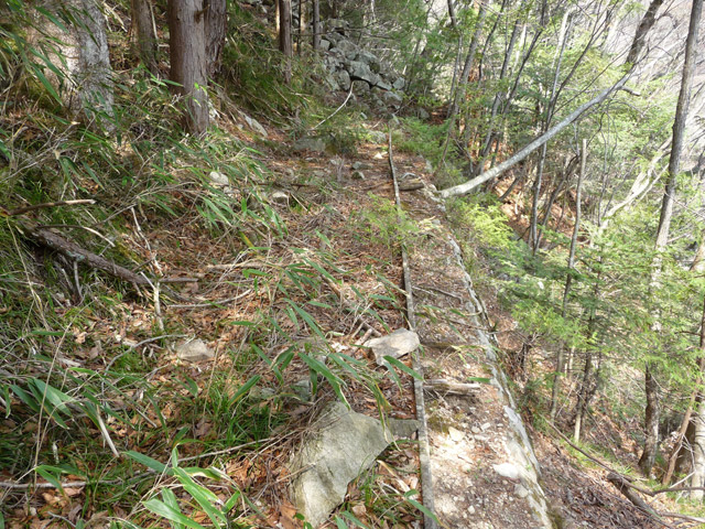 ����X�ѓS�����͐�,�ѓS,�p����,���[��,�؍މ^���O����,��ˏ���