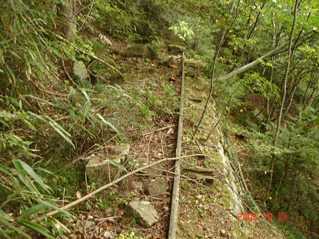 ����X�ѓS�����͐�,�ѓS,�p����,���[��,�y�؋O��,�ѓ�