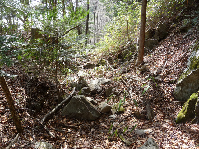 ����X�ѓS�����͐�,�ѓS,�p����,�H��,�y�؋O��,�ѓ�