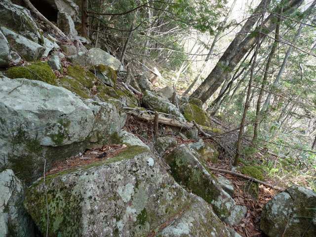 ����X�ѓS�����͐�,�ѓS,�p����,���R�ЊQ,�y�؋O��,�y������