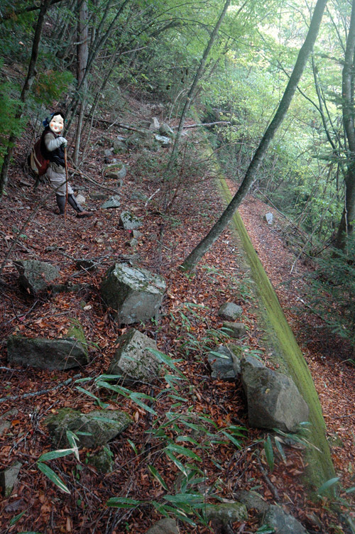 ����X�ѓS�����͐�,�ѓS,�p����,�i���[�O����,2�t�B�[�g6�C���`,�O��