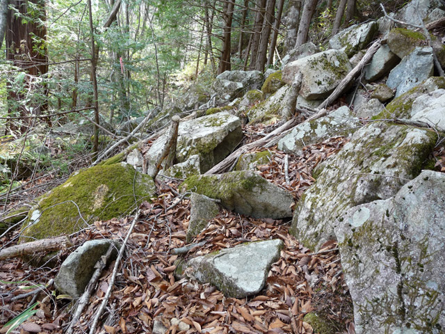 ����X�ѓS�����͐�,�ѓS,�p����,�i���[�O����,2�t�B�[�g6�C���`,���É��c�ы�