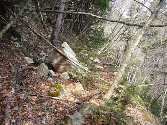 ���͐X�ѓS��,�ѓS,�p����,�c�я��O��,762mm,��ˏ���