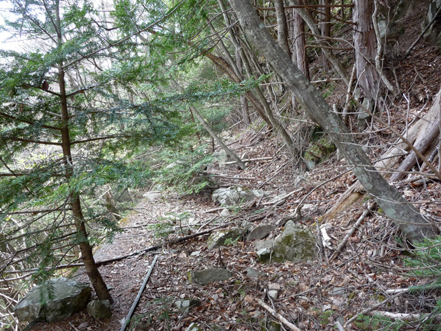 ���͐X�ѓS��,�ѓS,�p����,�c�я��O��,�y�؋O��,���͗ѓ�