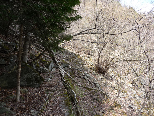 ���͐X�ѓS��,�ѓS,�p����,�؍މ^���O����,����c�я�,���É��c�ы�