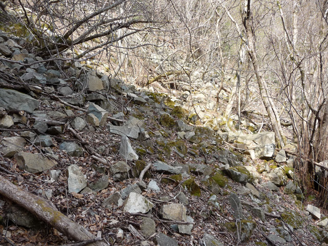 ����X�ѓS�����͐�,�ѓS,�p����,�i���[�O����,�K����,��������