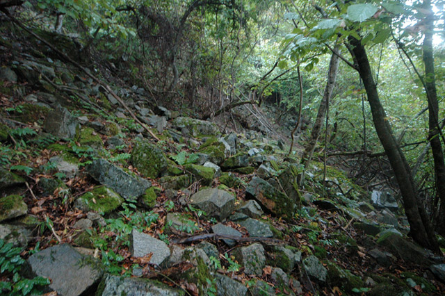 ����X�ѓS�����͐�,�ѓS,�p����,�؍މ^���O����,�K����,�H�՗���