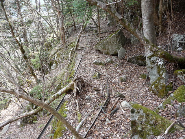 ����X�ѓS�����͐�,�ѓS,�p����,�؍މ^���O����,���H,�O��