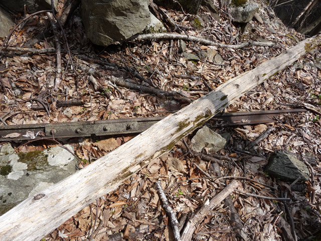 ����X�ѓS�����͐�,�ѓS,�p����,�g���b�R�O����,���[��,�ʐM��