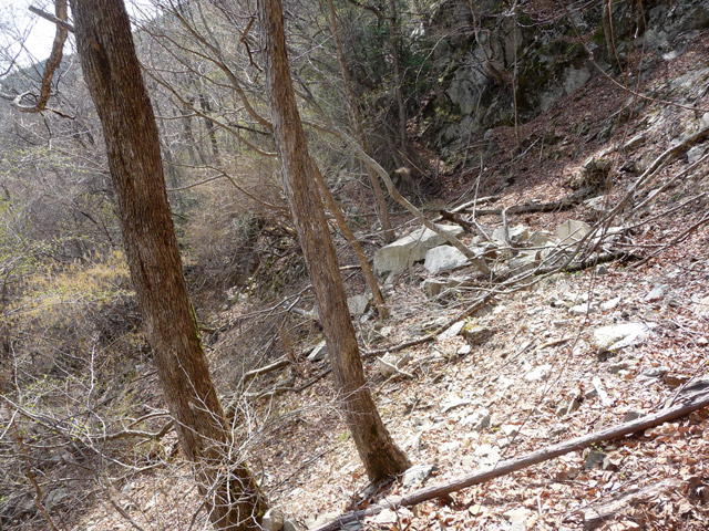 ����X�ѓS�����͐�,�ѓS,�p����,�g���b�R�O����,�H��,���É��c�ы�