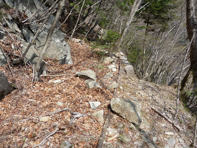 ����X�ѓS�����͐�,�ѓS,�p����,�g���b�R�O����,�O��,���É��c�ы�