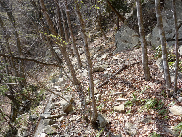 ����X�ѓS�����͐�,�ѓS,�p����,�g���b�R�O����,���L��,��ˏ���