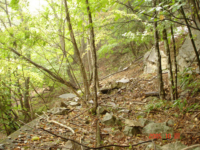 ����X�ѓS�����͐�,�ѓS,�p����,�g���b�R�O����,��r�ʐ^,��_�ϑ�