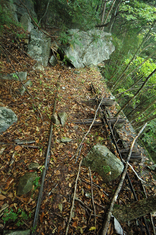 ���͐X�ѓS��,�ѓS,�p����,��͋����`,����,���[��