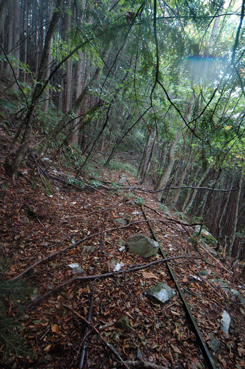 ���͐X�ѓS��,�ѓS,�p����,�i���[�O����,��ˏ���,���[��