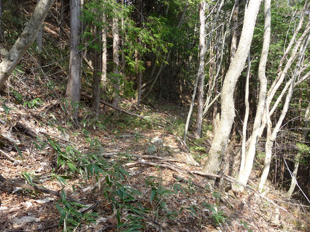 ���͐X�ѓS��,�ѓS,�p����,�i���[�O����,��ˏ���,����