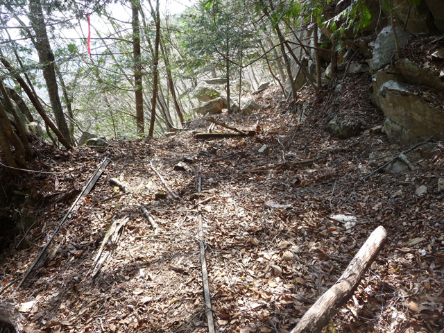 ���͐X�ѓS��,�ѓS,�p����,�i���[�O����,��ˏ���,�ڈ�e�[�v