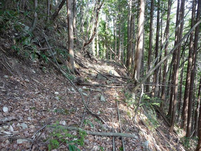 ���͐X�ѓS��,�ѓS,�p����,�ыƗp�O����,��ˏ���,��֋O��