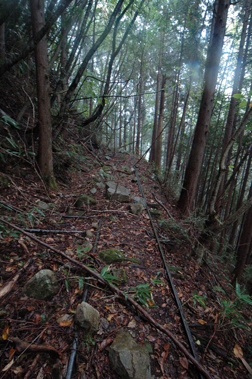 ���͐X�ѓS��,�ѓS,�p����,�c�я��O����,��ˏ���,���͗ѓ�