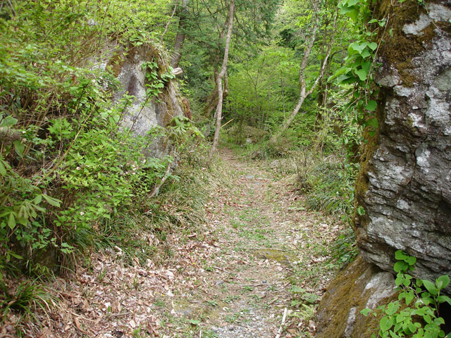 ��̒���,��ԎR,�o�R��