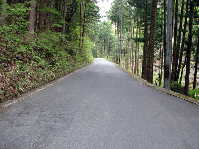 ����X�ѓS�����J���u�����[���������v�v