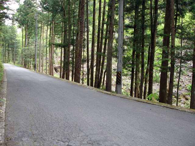 ����X�ѓS�����J���u�����[���������v�v