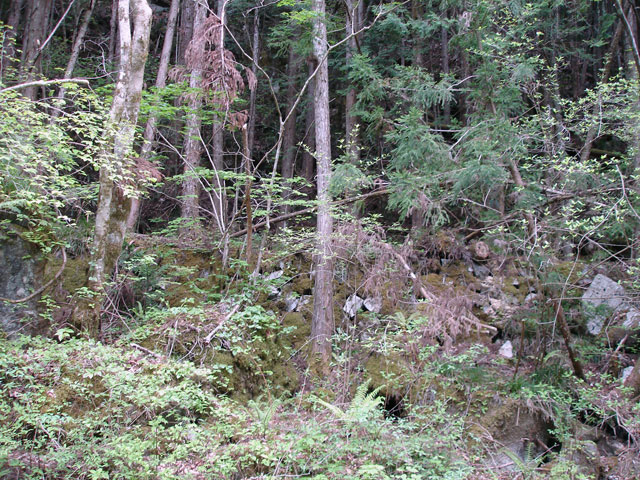 ����X�ѓS�����J�����u�����[���������v