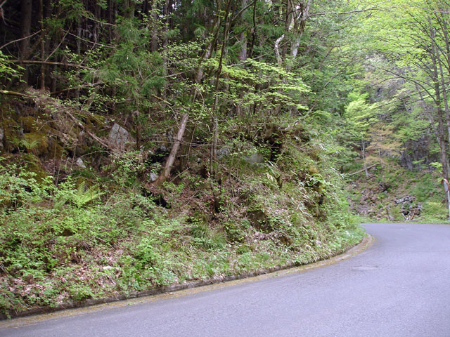 ����X�ѓS�����J���u�����[���������v