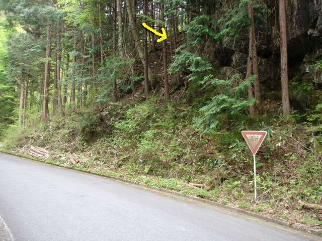 ����X�ѓS�����J���u�����[���������v