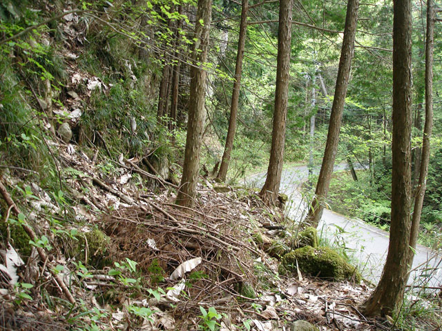 ����X�ѓS�����J���u�����[���������v