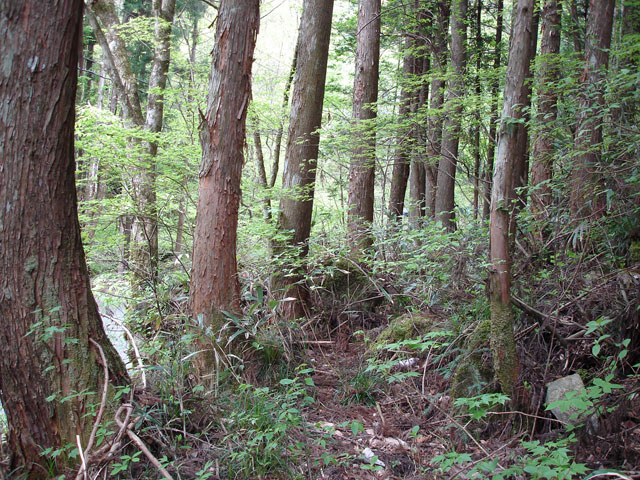 ����X�ѓS�����J���u�����[���������v