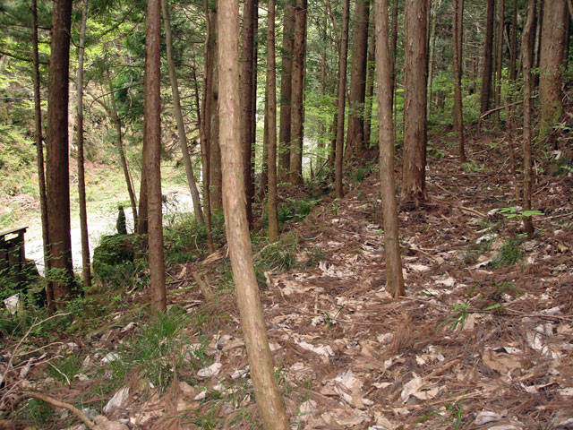 ����X�ѓS�����J���u�����[���������v