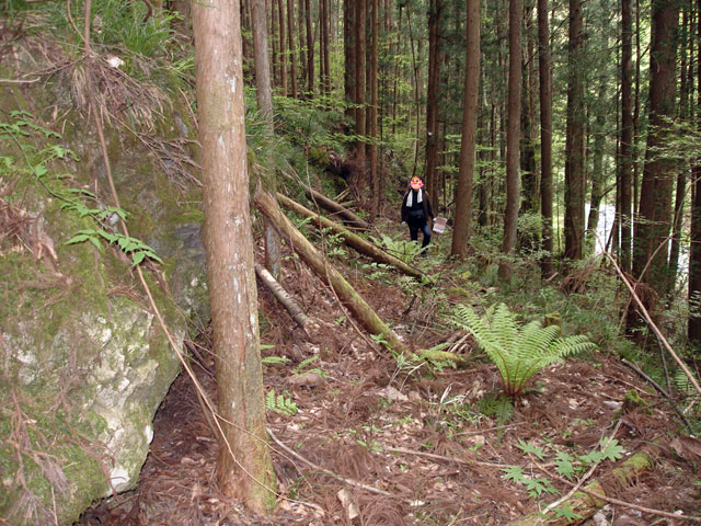 ����X�ѓS�����J���u�����[���������v