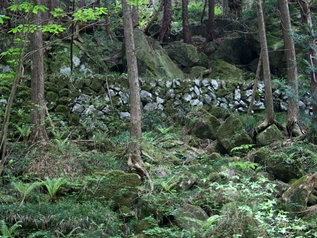 ����X�ѓS�����J���u�����[���������v