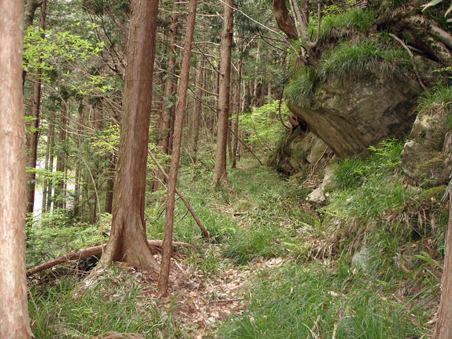 ����X�ѓS�����J���u�����[���������v