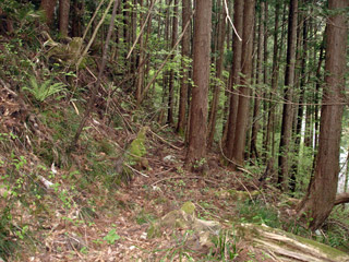 ����X�ѓS�����J���u�����[���������v