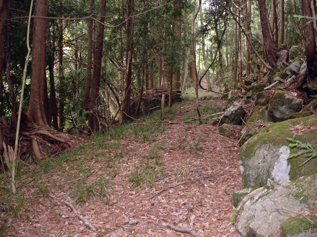 ����X�ѓS�����J���u�����[���������v