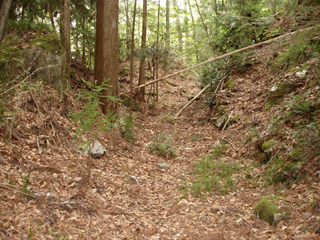 ����X�ѓS�����J���u�����[���������v