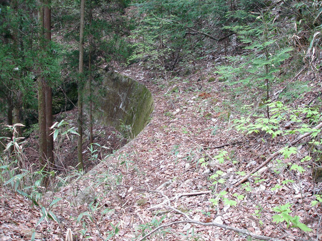 ����X�ѓS�����J���u�����[���������v