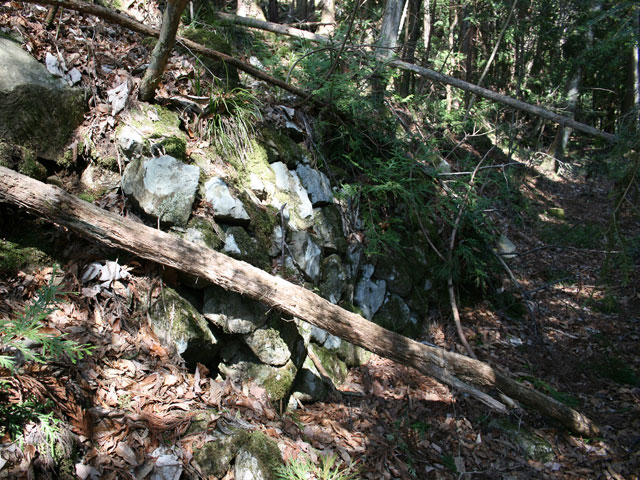 ����X�ѓS�����J���u�����[���������v