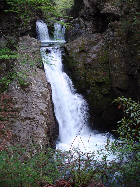 ����X�ѓS�����J��,��1������,�ꌩ�V����,�O�c��