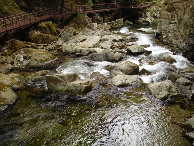 ����X�ѓS�����J��,��1������,�ꌩ�V����,�O�c��